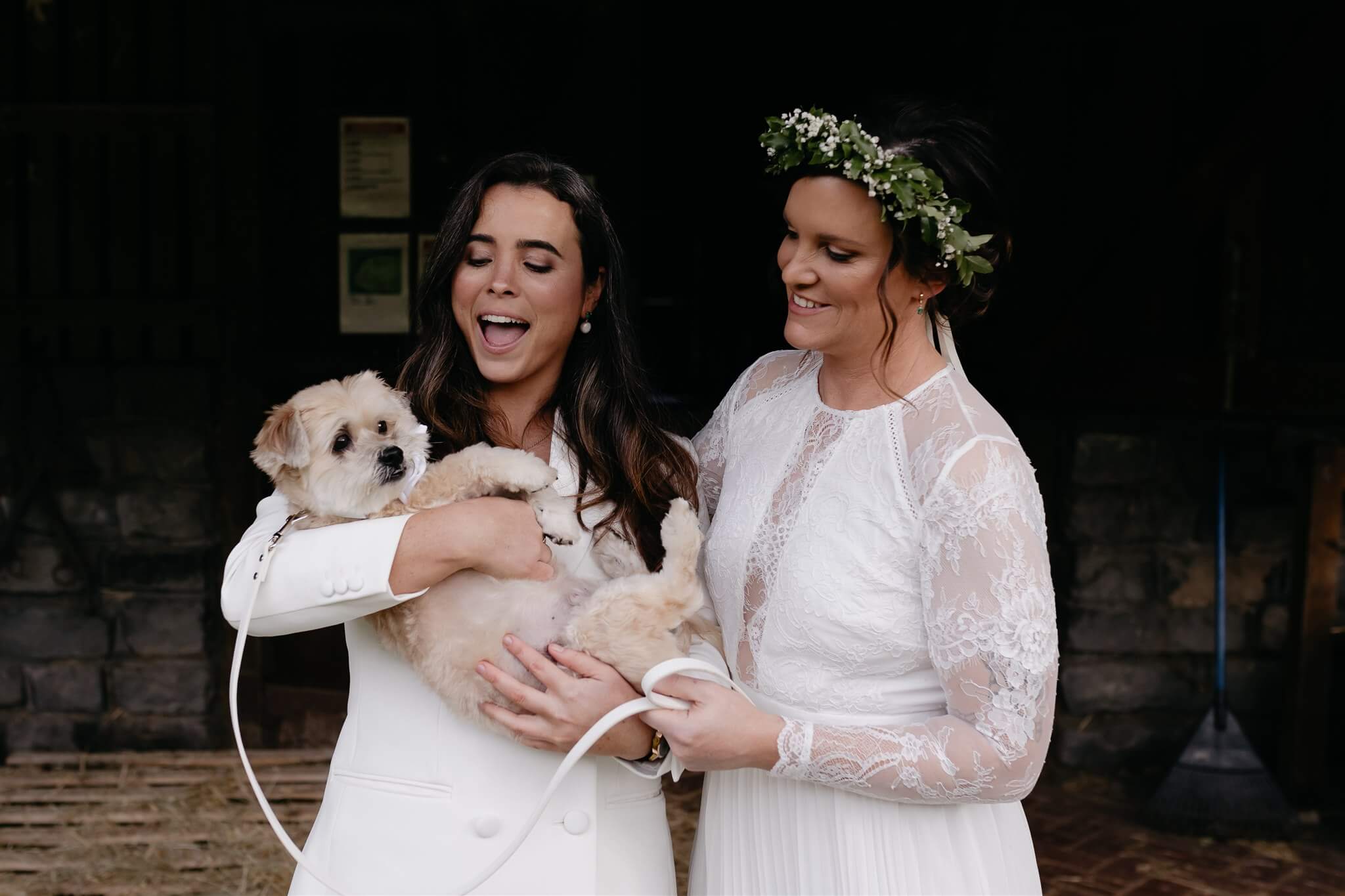 Wedding brides with dog at farm